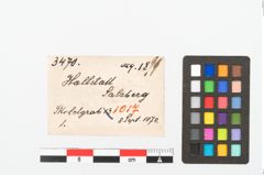 Etikett zu Eisenobjekt (NHMW-PRAE-003470)